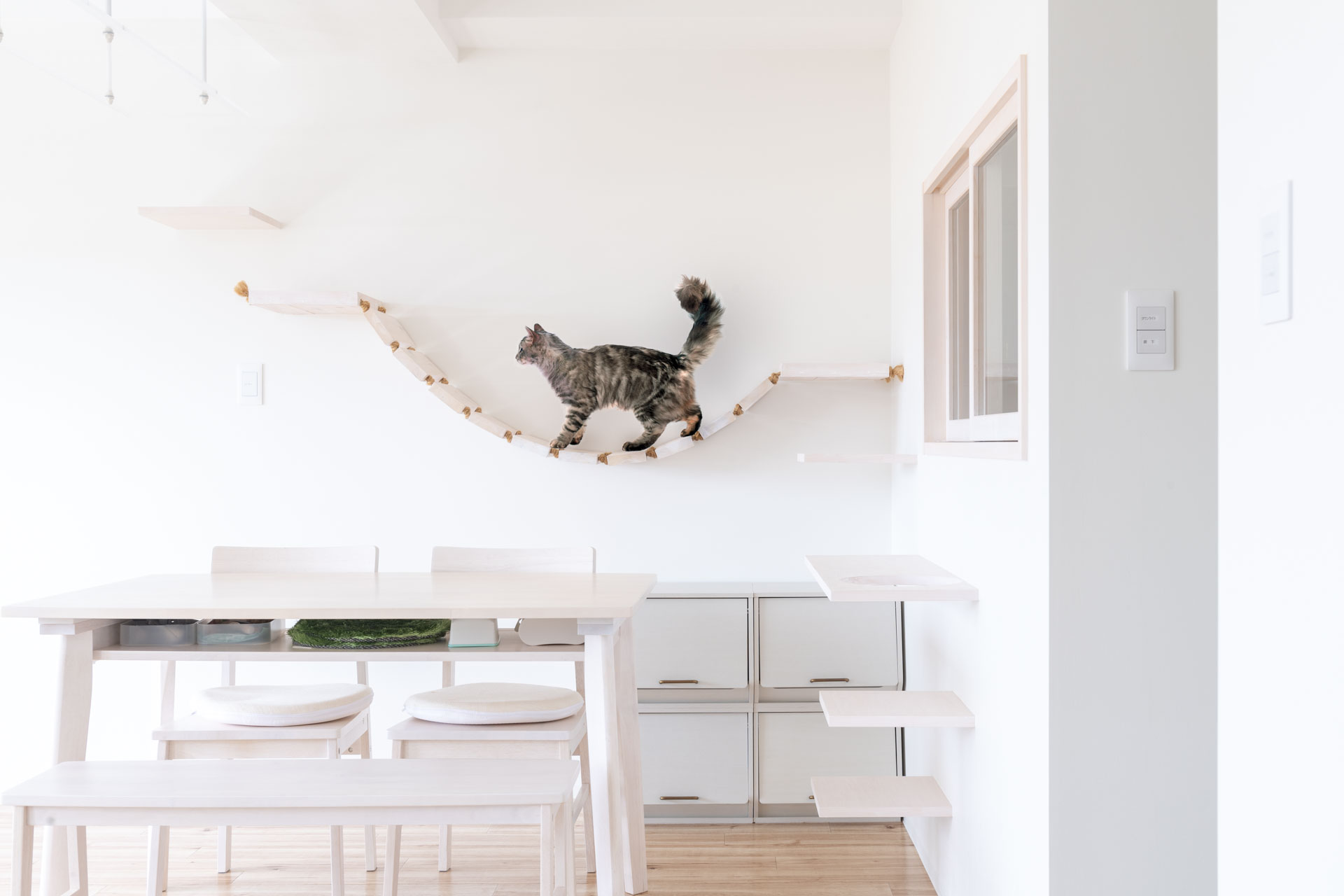 猫と快適に暮らすリフォームマンション写真撮影